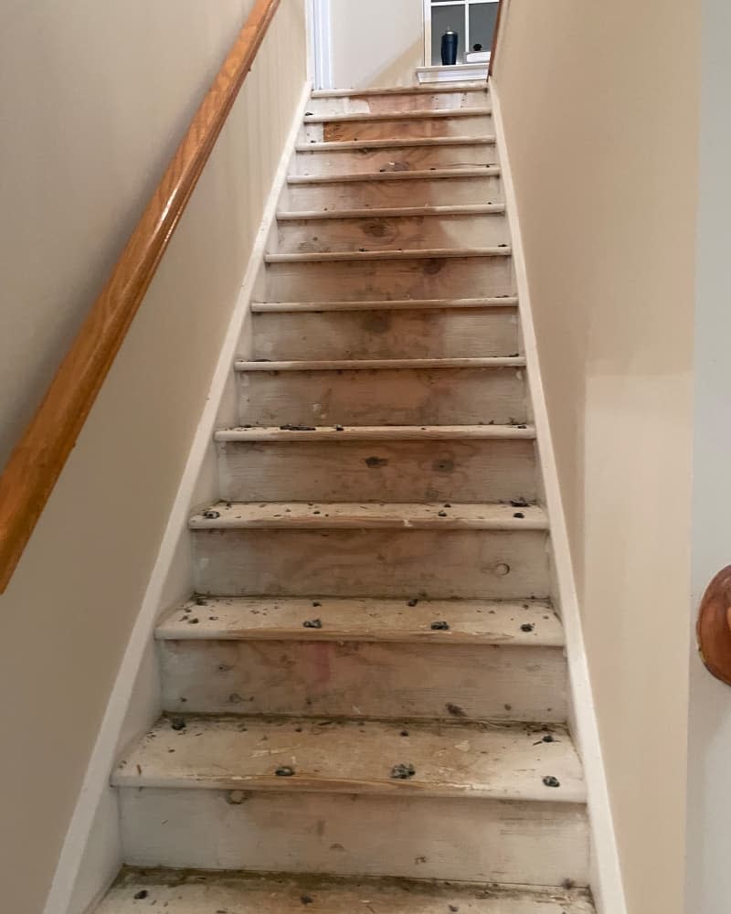 Carpets removed from stairs during remodel.