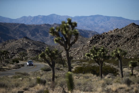 national parks shut down 