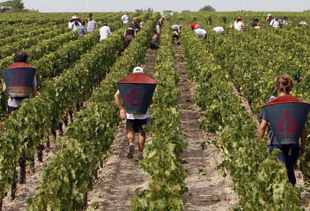 UK farmers are reliant on seasonal workers from the EU: AP