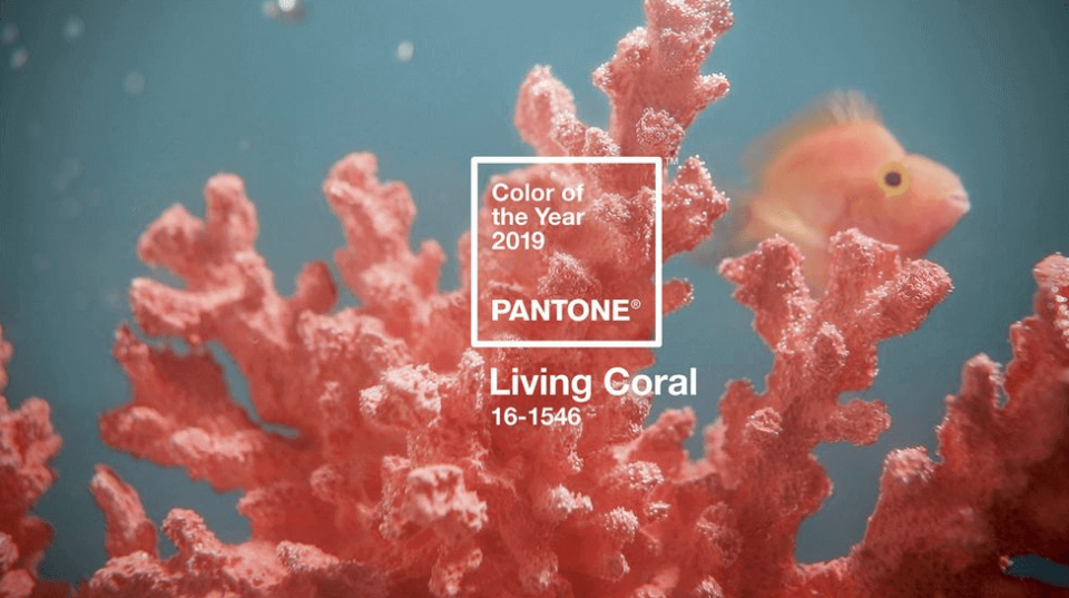 El Living Coral es un color llamativo que tiene usos versátiles en el hogar. / Foto: Ming Pao Weekly