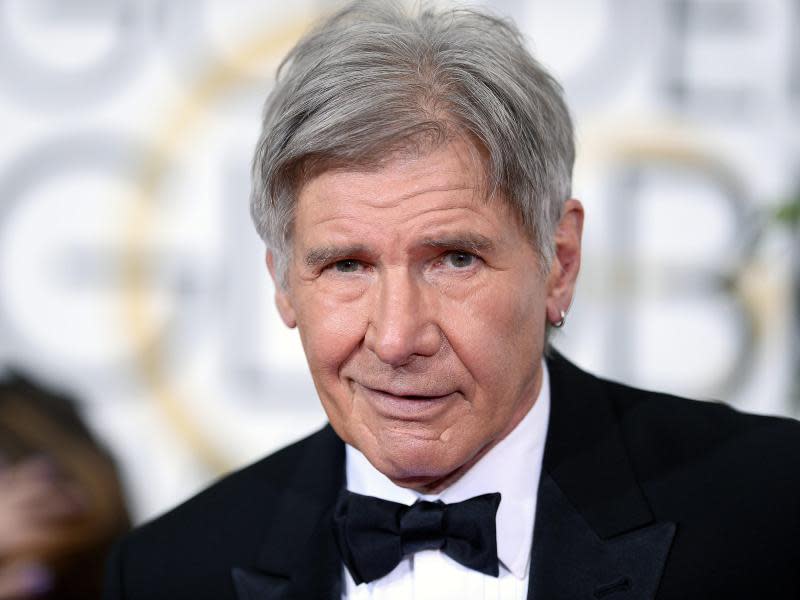 Harrison Ford kam nach einer Bruchlandung mit mittelschweren Verletzungen ins Krankenhaus. Foto: paul Buck