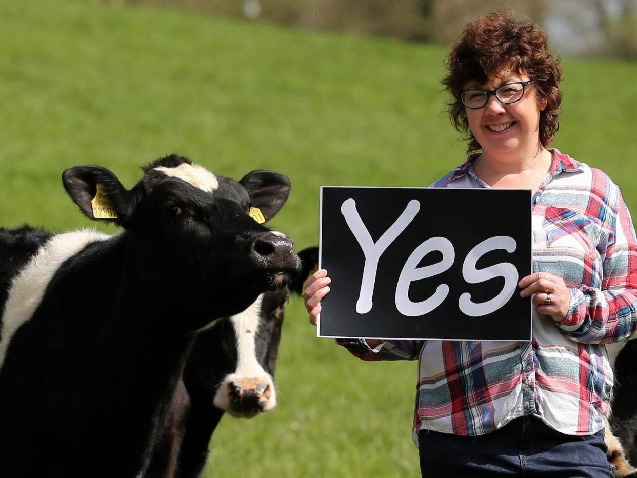 The author Lorna Sixsmith and her dairy cows showing their support for removing Ireland’s eighth amendment: Georgina Willis