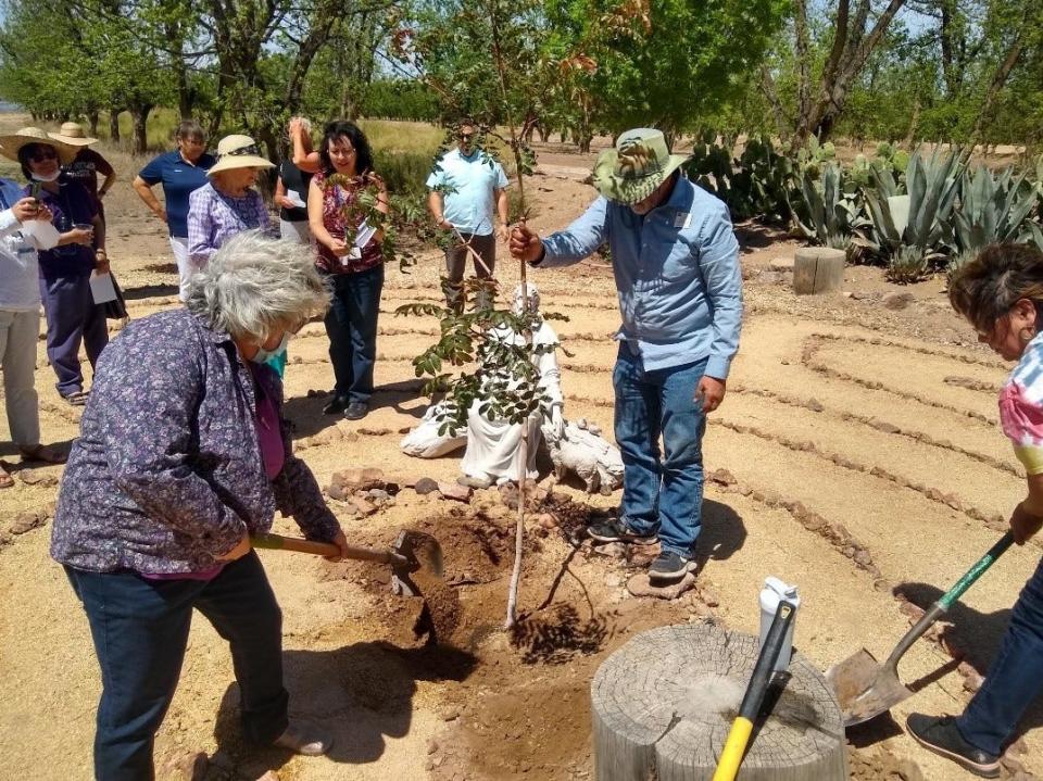 Members of the community took part in planting a drought resistant Red Push Pistache tree to provide more shade at the Holy Cross Retreat Center for Earth Day Saturday, April 23, 2022.