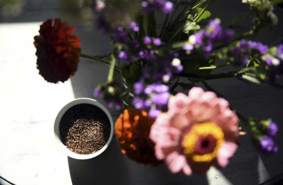 In this Friday, Aug. 27, 2021., photo, a sample of a composted pig sits on a table at The Natural Funeral in Lafayette, Colo. The company is offering human body composting after Colorado became the second state after Washington to legalize the practice. By the end of the six-month process, the body, the wood chips and the straw will have broken down into enough soil to fill the bed of a pickup truck. Family members can keep the soil to spread in their yards, but Colorado law forbids selling it and using it commercially to grow food for human consumption. (AP Photo/Thomas Peipert)