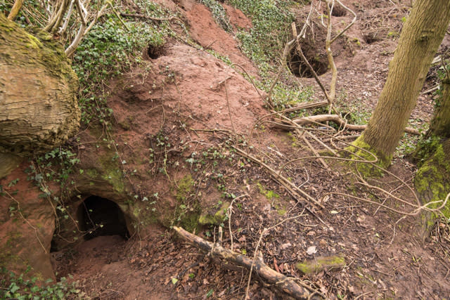 'Rabbit hole' leads to incredible set of 700-year-old caves