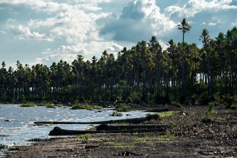 Laguna del Parque Nacional Laguna El Palmar, en Chaco