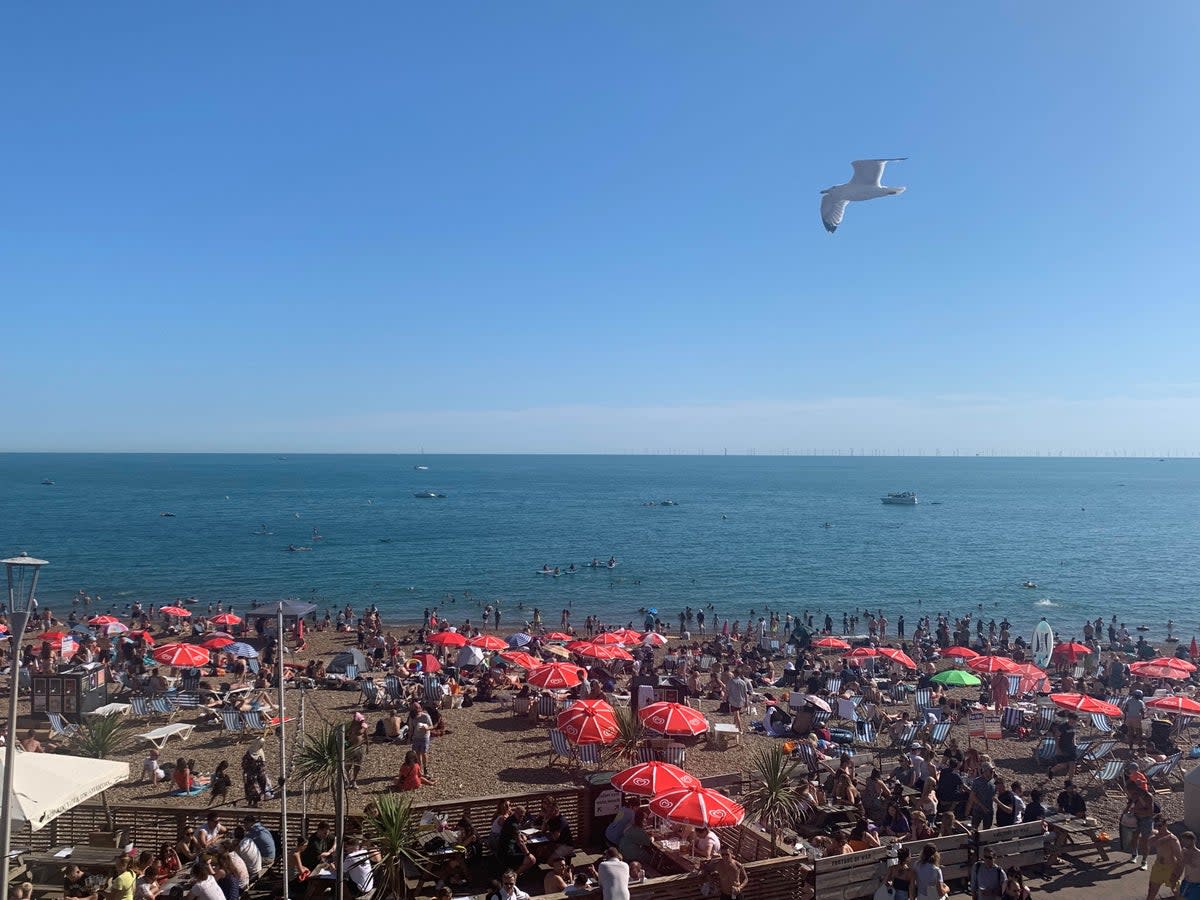 Crowds enjoy the hot weather at Brighton beach in Sussex (Peter Clifton/PA) (PA Wire)