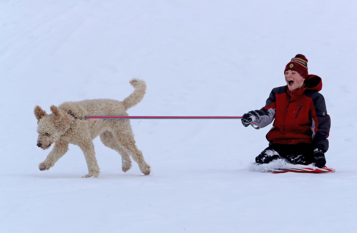 Parker McCoy is pulled down the sledding hill behind Bolich Middle School by his dog, Charlie, on Monday in Cuyahoga Falls.