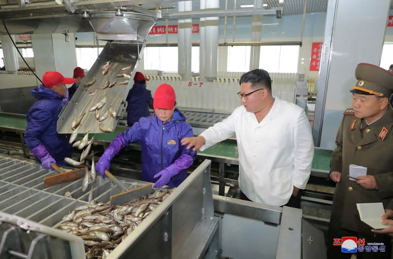North Korean leader Kim Jong Un visits a fish processing facility in North Korea