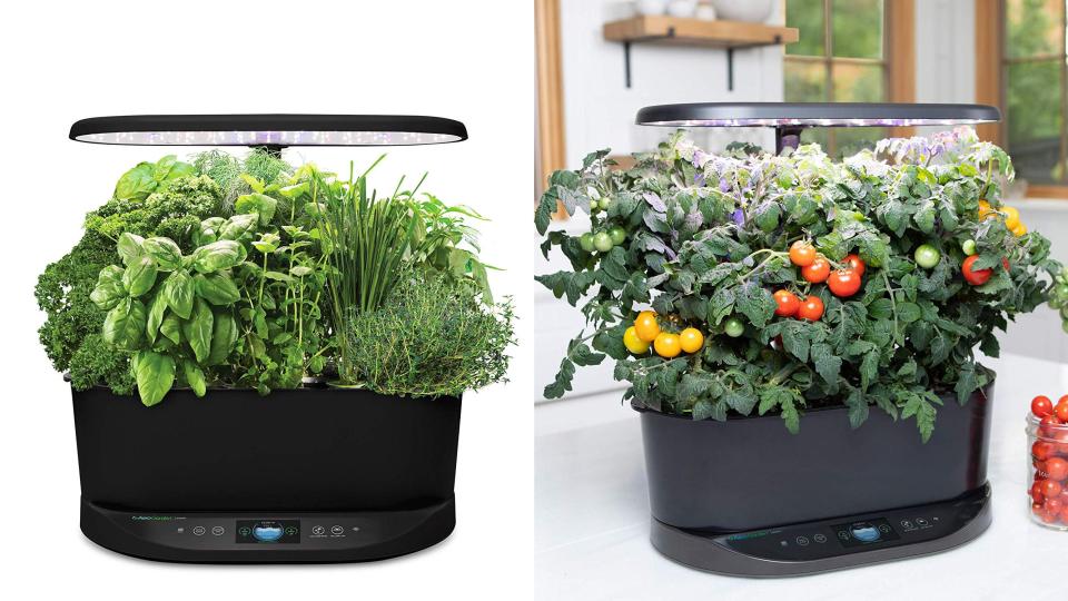 An indoor garden for the wannabe green thumb.