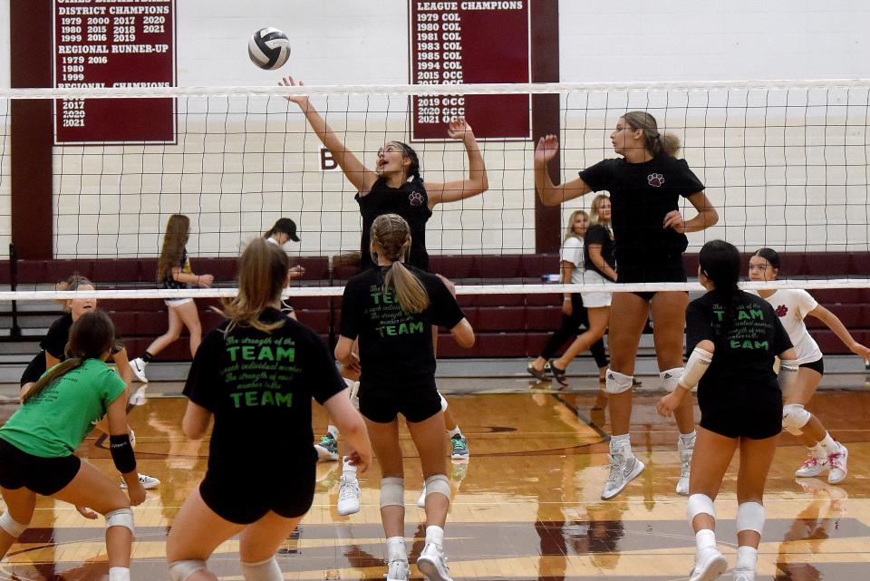 Newark senior Jaylen Jackson reaches for the ball as the Wildcats hosted Newark Catholic for a scrimmage Thursday in Jimmy Allen Gymnasium. Newark won 3-1.