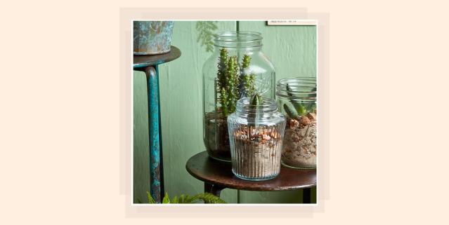 Green Cactus Shaped Mason Jar Tumbler