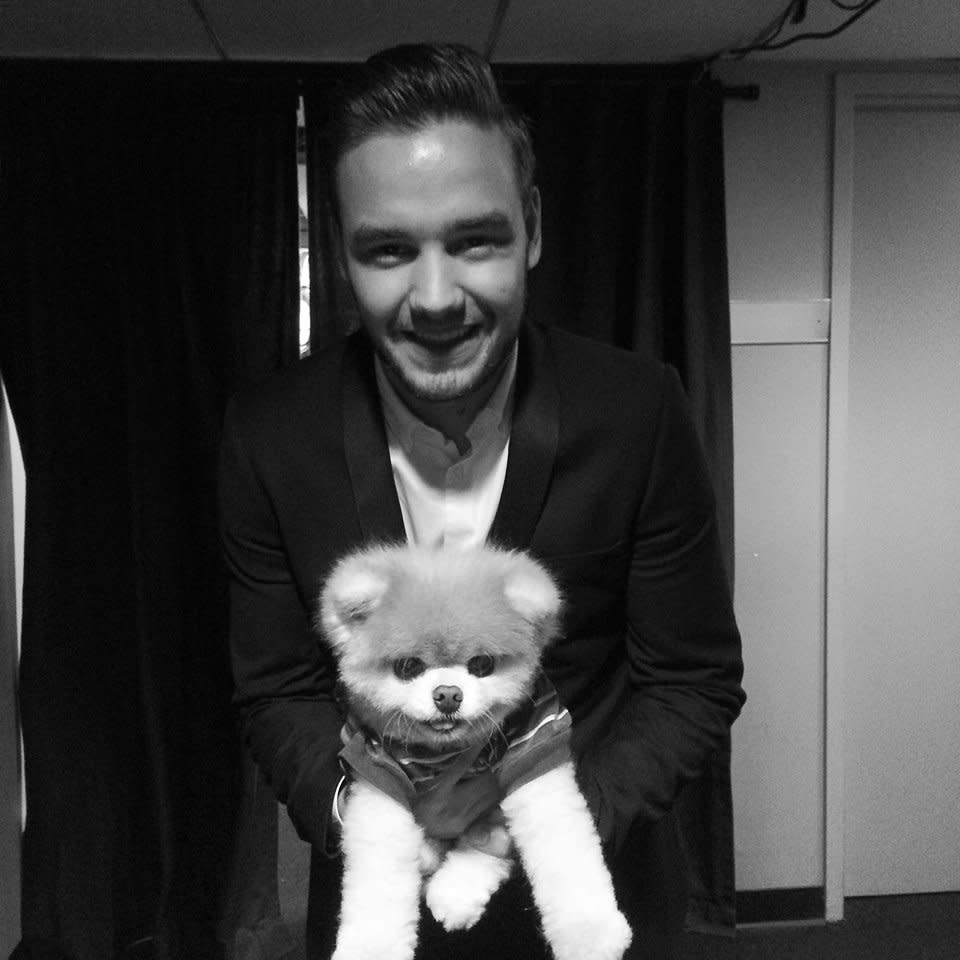 <p>Boo meeting Liam Payne from One Direction. Photo: Facebook/Boo </p>