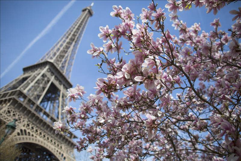 Esta primavera la torre Eiffel cumple sus primeros 125 años.EFE/EPA/IAN LANGSDONEsta primavera la torre Eiffel cumple sus primeros 125 años.EFE/EPA/IAN LANGSDONImagen facilitada por la editorial RBA de la Torre Eiffel de París, incluida en el libro "En casa. Una breve historia de la vida privada" de la construcción de la torre Eiffel.