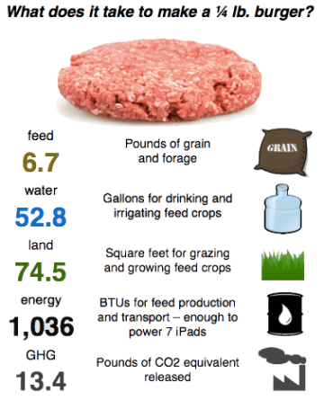 Infographic: What does it take to make a quarter-pound burger