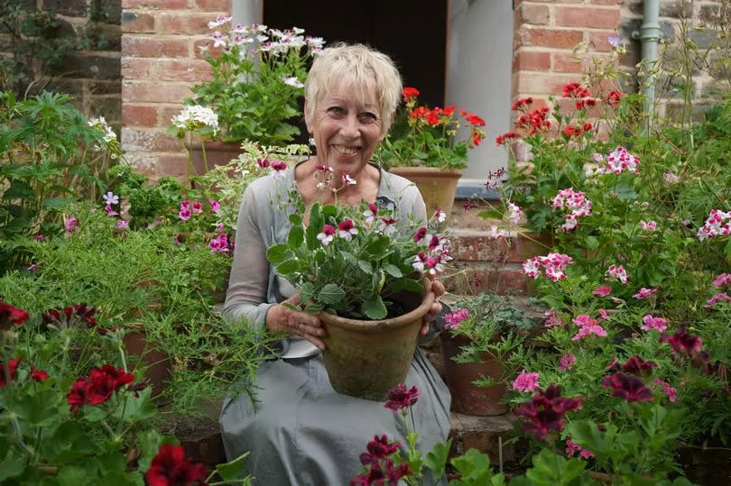 Gardeners' World guru warns people of popular 'hacks' to remove weeds