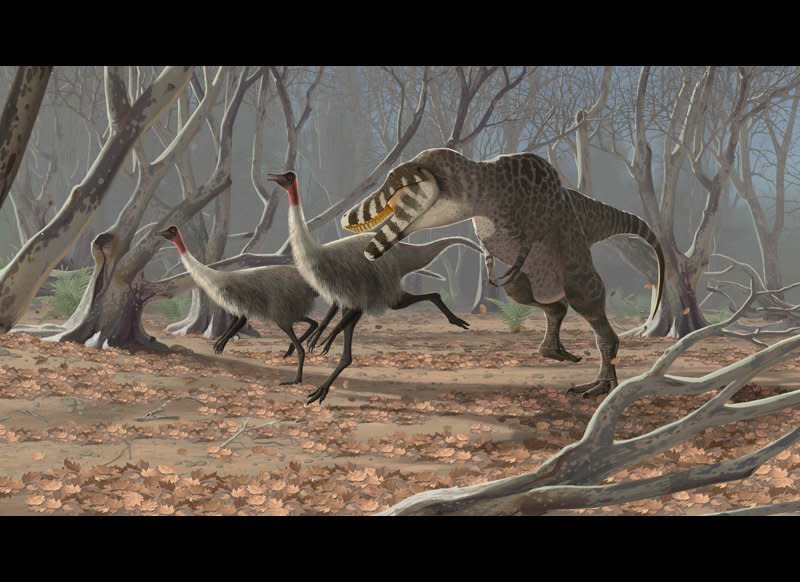 Tarbosaurus, a predatory reptile that lived 70 million years ago in parts of Asia, chases two Gallimimuses, ostrich-like dinosaurs that could grow nearly 30 feet long.  Digital Art, 2010.