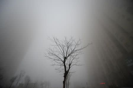 Buildings are seen in heavy smog during a polluted day in Jinan, Shandong province. REUTERS/Stringer