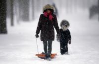 Alyssa Gerber walks through Trinity Bellwoods park during a snow storm in Toronto, December 14, 2013. Approximately 15 to 20 cm of snow may fall by Sunday morning for areas near the Lakeshore in Toronto and Mississauga, according to weather forecaster Environment Canada. REUTERS/Aaron Harris (CANADA - Tags: ENVIRONMENT SOCIETY)