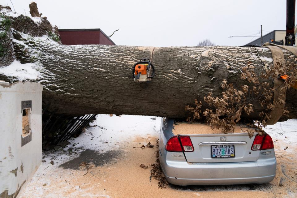 A chainsaw rests in a downed tree as workers pause cutting on Saturday, Jan. 13, 2024, in Portland, Ore. (AP Photo/Jenny Kane) ORG XMIT: ORJK116