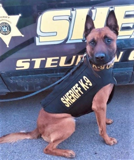 Twiggy, a K-9 with the Steuben County Sheriff's Office, located a missing teen early Jan. 5, 2022 in the Town of Corning.