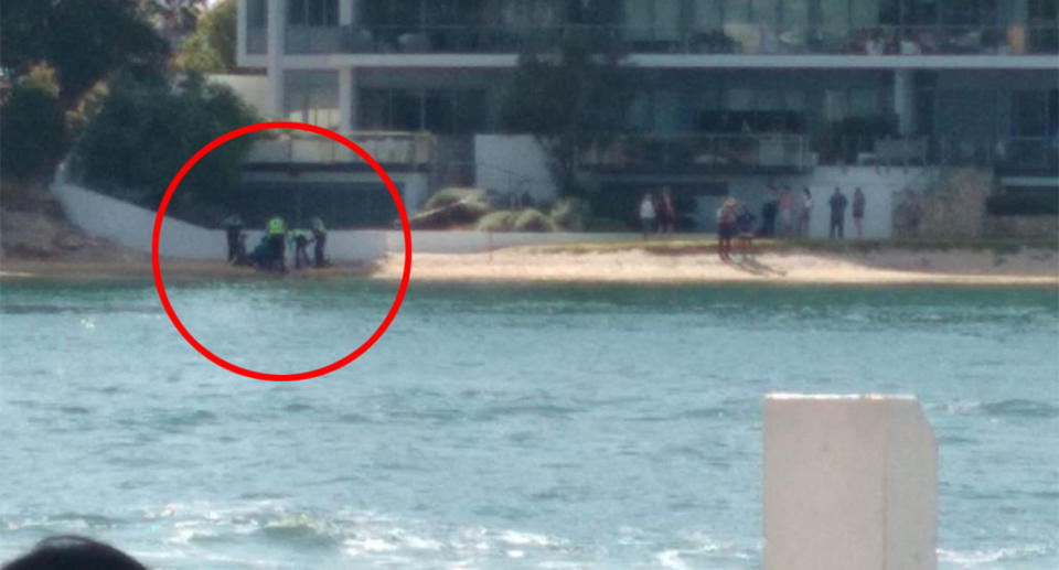 Police are seen attending to the shark attack victim on the bank of the Swan River.