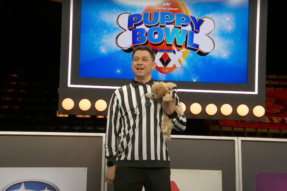 <p>WBD US Nets Press</p> Puppy Bowl 2024 referee Dan Schachner and his assistant referee, Whistle the rescue dog