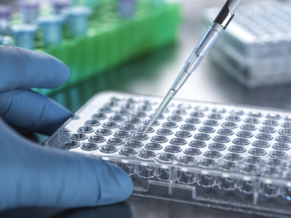 A person using a pipette and test tubes to do cancer research