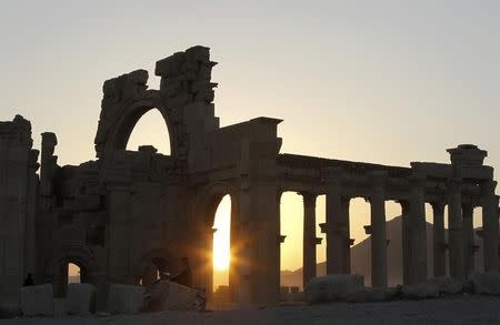 The sun sets behind ruined columns at the historical city of Palmyra, in the Syrian desert, some 240km (150 miles) northeast the capital of Damascus November 12, 2010. REUTERS/Khaled al-Hariri