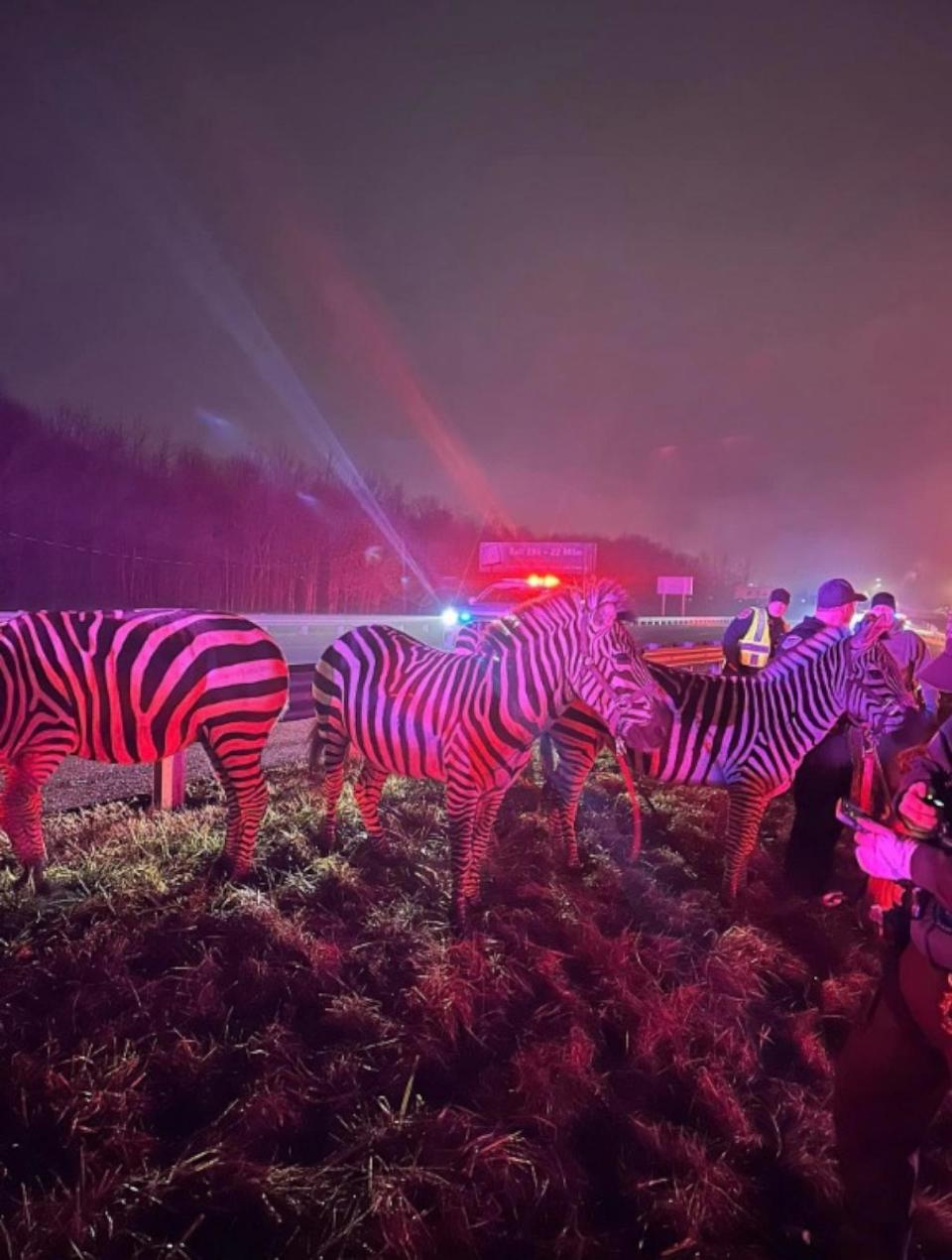 PHOTO: Several circus animals were rescued from a trailer after a semi-truck caught fire in Grant County, Indiana, on Jan. 27, 2024. (Grant County Sheriff's Office - Marion, IN)