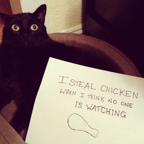 Chicken Shame