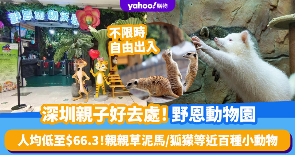 深圳好去處｜野恩動物園親子好去處 人均低至$66.3！不限時、自由出入 親親草泥馬/兔仔/狐獴等近百種小動物