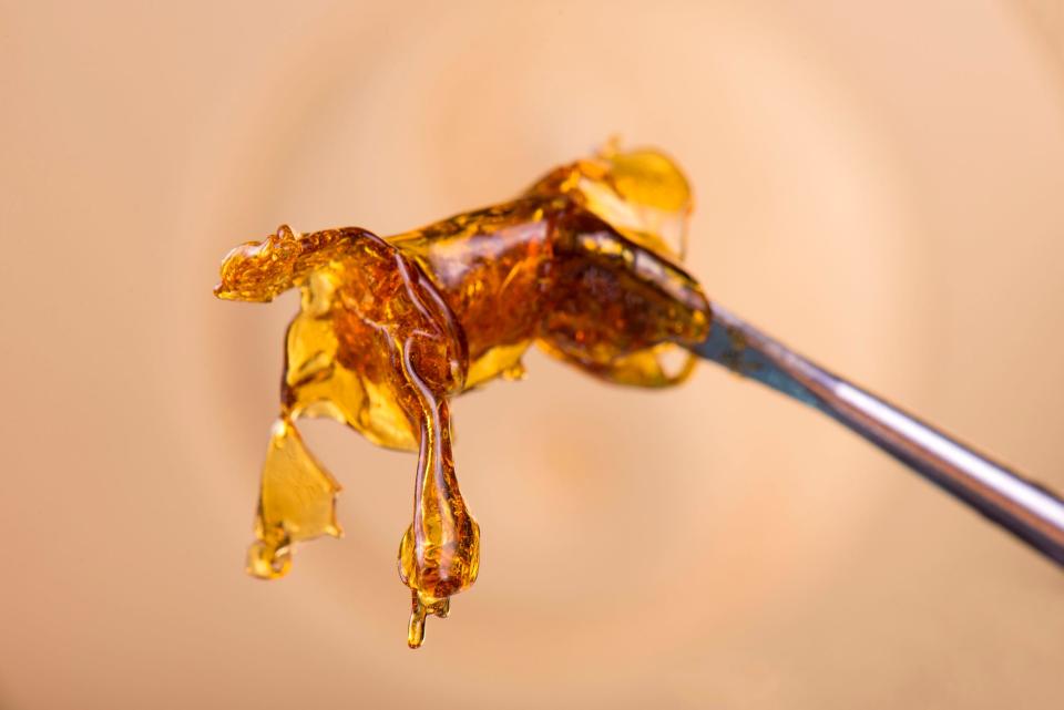 Portage County authorities charged Miranda Webb and Shane Cress (alias Lily Forester and John Galton) with making a concentrated form of marijuana like this close-up of a so-called "dab."