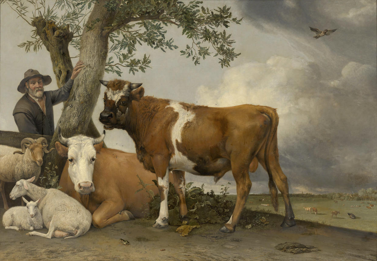 Paulus Potter’s “The Bull” (1647), now at the Mauritshuis museum in The Hague, Netherlands. (Mauritshuis via The New York Times)