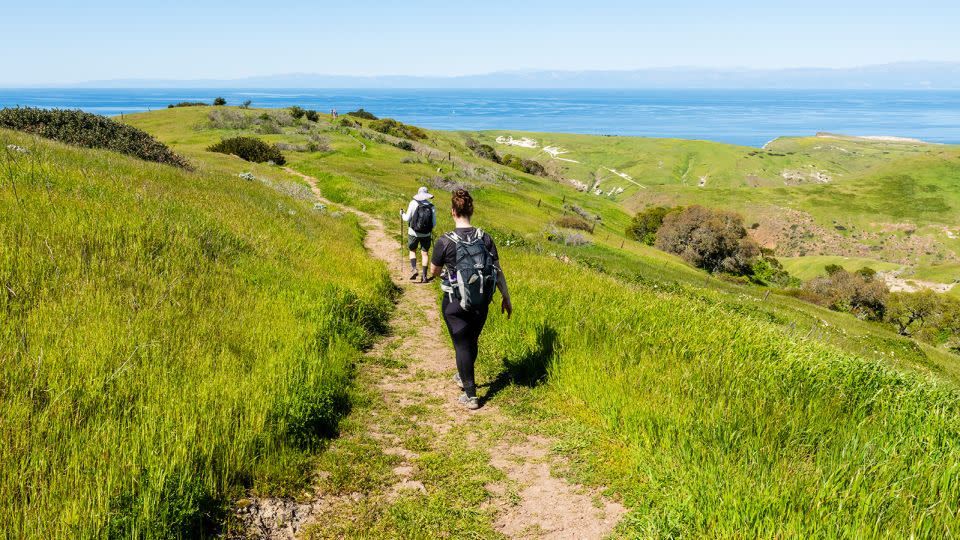 Hikers make their way along Scorpion Canyon Loop trail on Santa Cruz Island in Channel Islands National Park. - NatalieJean/Adobe Stock