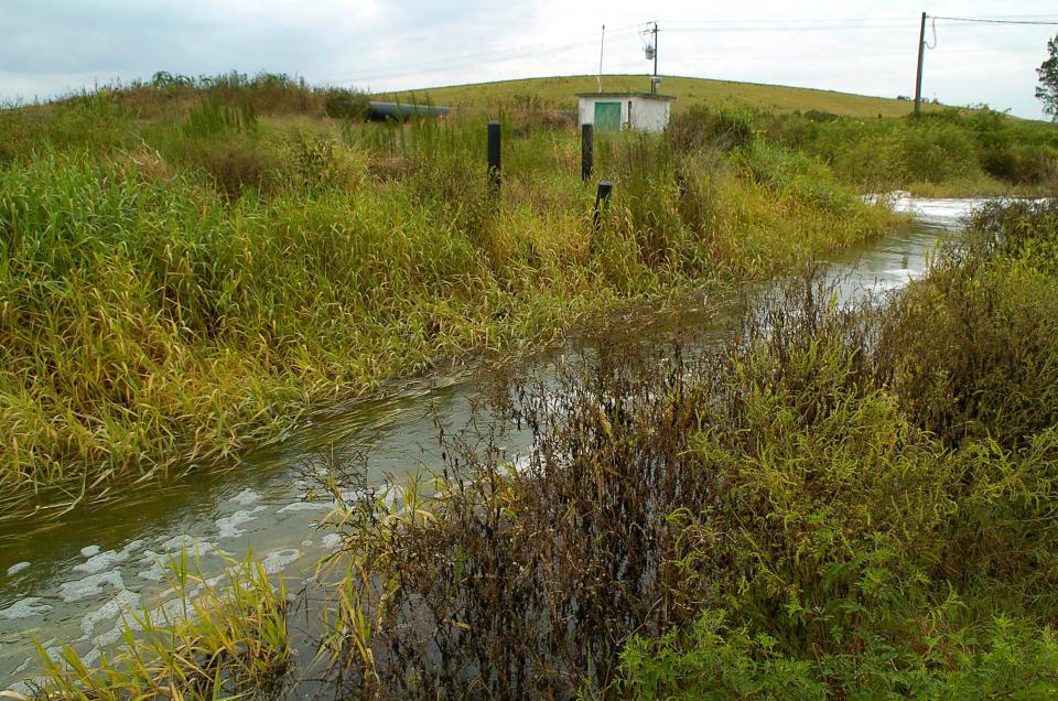 Drainage ditches are one element of rural water management.