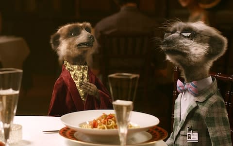 meerkat - Credit: comparethemarket.com