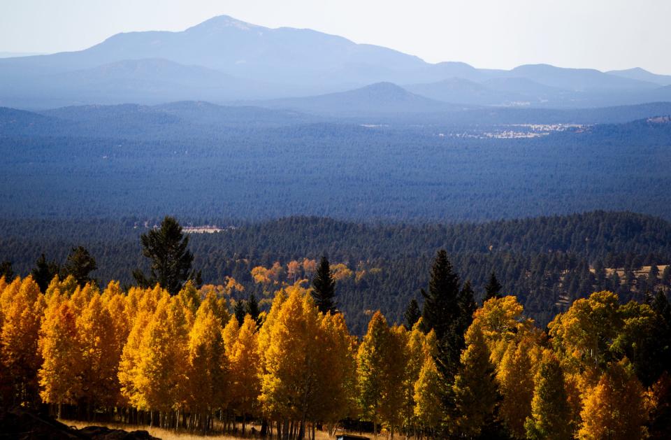 Golden aspen trees dot the landscape below Arizona Snowbowl in the San Francisco Peaks near Flagstaff on Oct. 15, 2019.