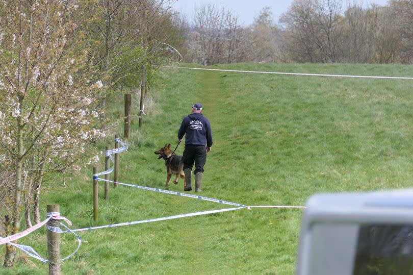 Dogs are being used to search parts of Rowdown Fields in New Addington