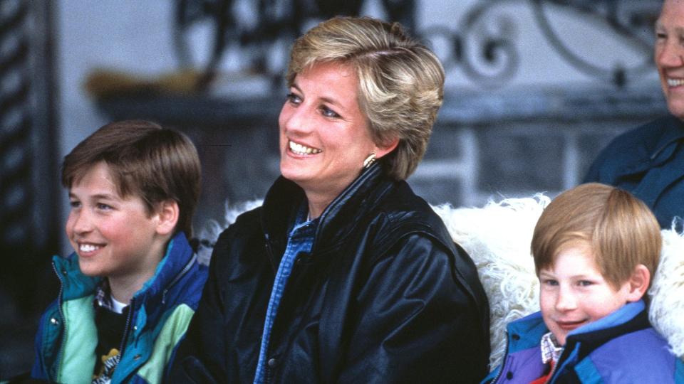 prince harry, princess diana, prince william