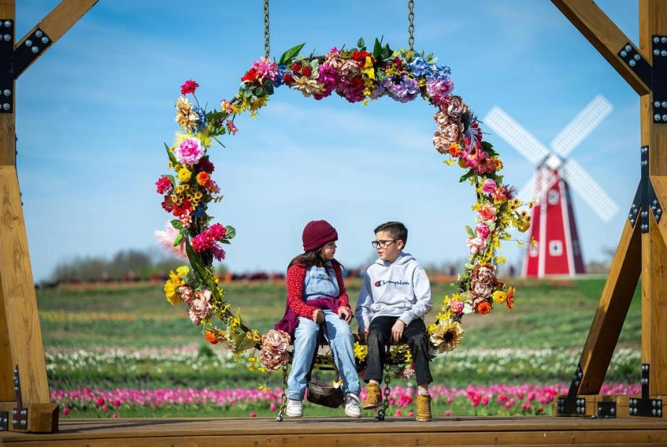Emma, 8, and Aidan Mendez, 9, of Kansas City, Kansas tried out the swing during a visit with their mother, Jolene Mendez, on opening day of the Tulip Festival at The Fun Farm. The farm features features a wide variety of chldren’s activities.