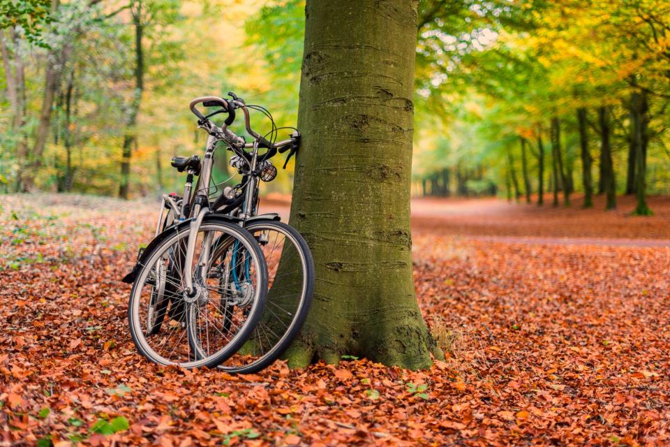 There's No Doubt That Fall Is the Best Season for Cycling