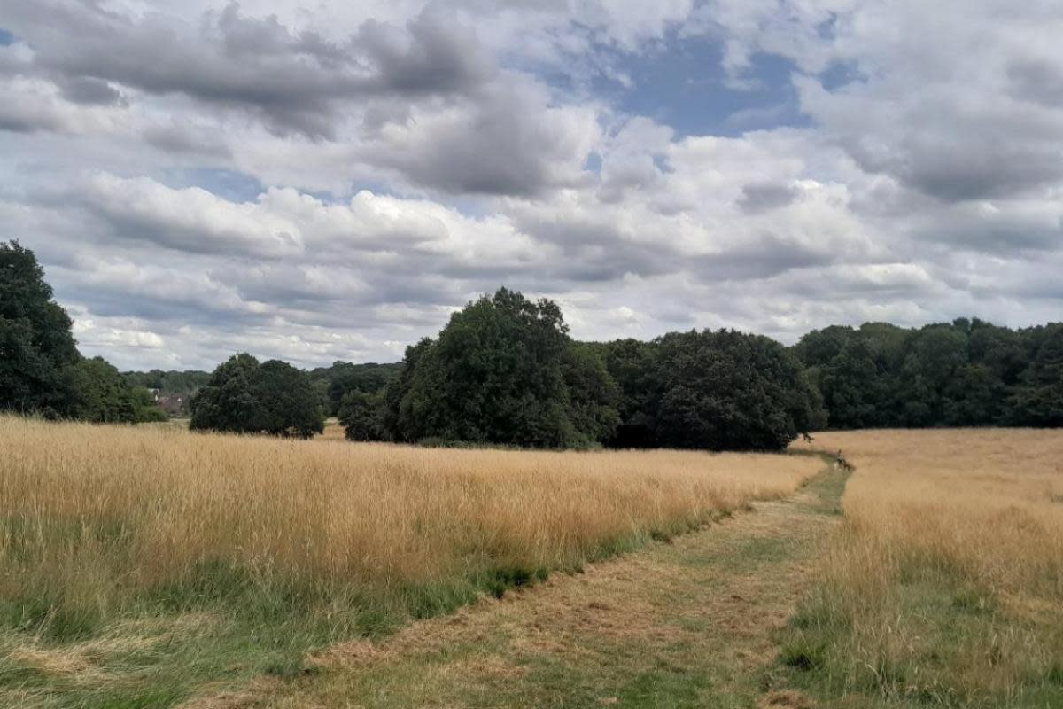 South Oxhey Playing Fields. <i>(Image: Three Rivers District Council)</i>