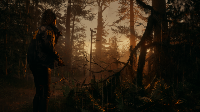 For such a gorgeous game Alan Wake 2 runs surprisingly well on