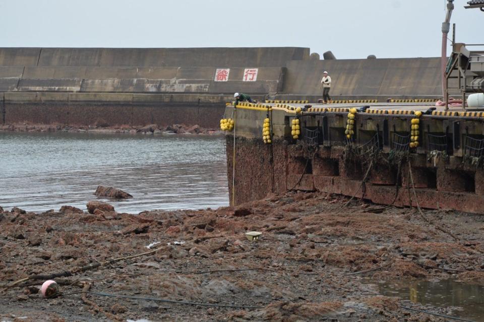 people on a platform beside the sea with a clear water line about 12 feet above the ocean and newly exposed sea floor covered in algae and muck beside it