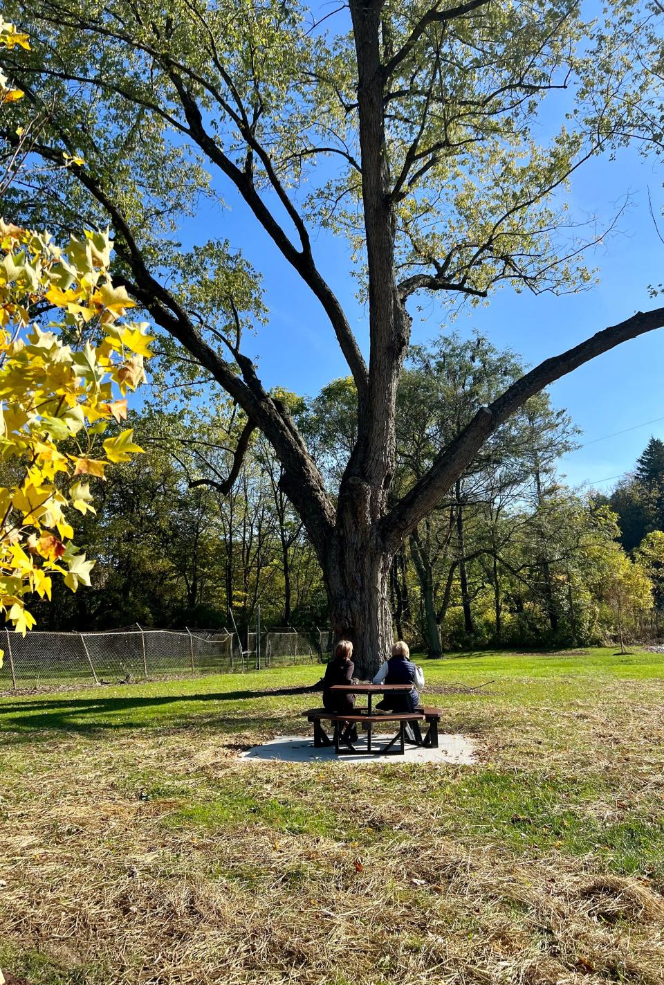 On a recent fall day, two women enjoy the new picnic table at Deer Park.