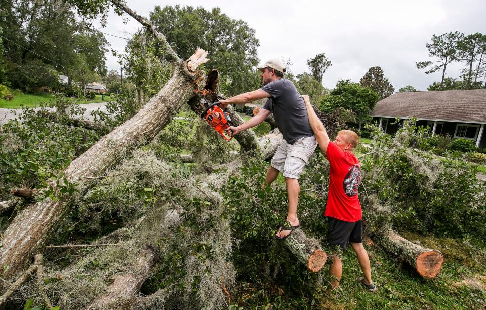 Jonathan French, left, gets a little support from Carlton Curtis as he cuts up a tree that fell in Curtis' southeast Ocala yard after Hurricane Irma passed through Marion County on Sept. 11, 2017.