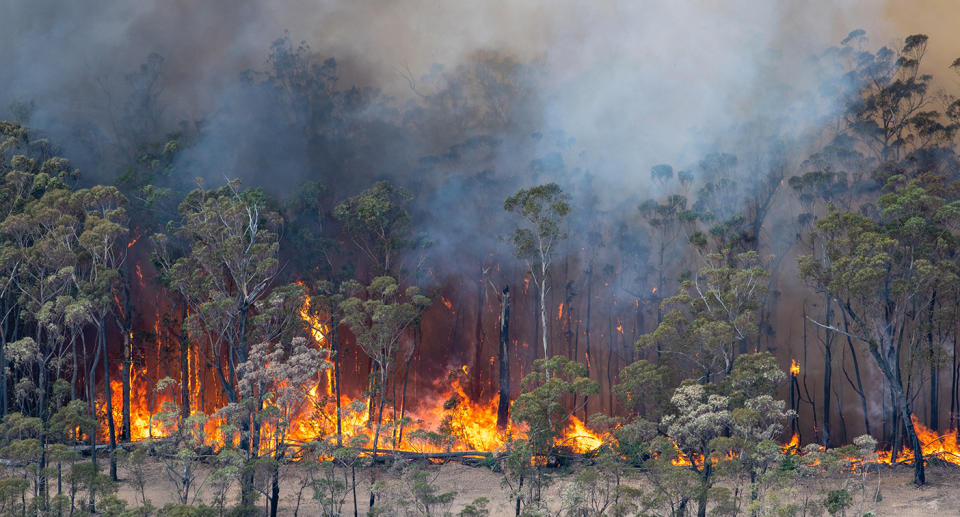 A bushfire near Bairnsdale in Victoria's East Gippsland region. Source: AAP