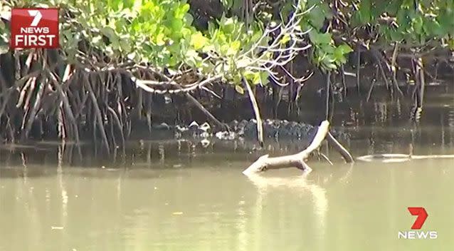 This croc was spotted in the area on Friday. Source: 7 News