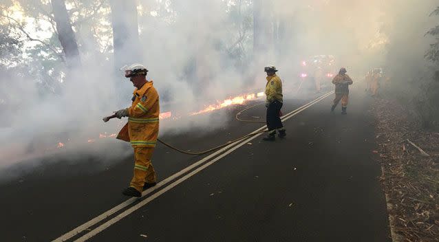 The NSW fire, which started on Saturday, has destroyed more than 1800 hectares of land. Photo: AAP